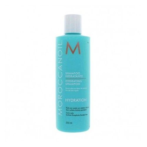 Hydratation Hydrating Shampoo 250 Ml 