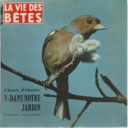 Chants D'oiseaux : 3 - Dans Notre Jardin ( Face 2 - Pinson / Chardonneret / Verdier / Serin Cini / Torcol / Troglodyte / Merle )