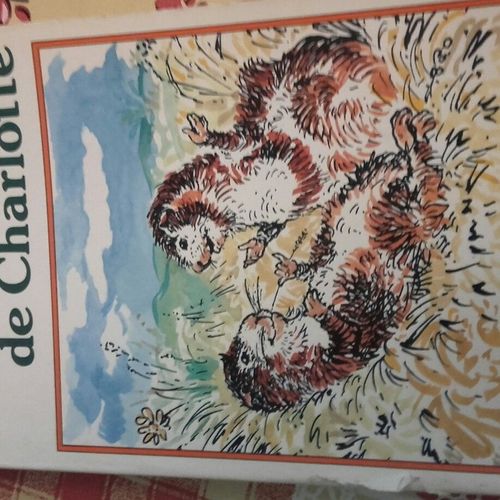 Un Amour De Charlotte
