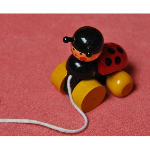 Coccinelle Bois