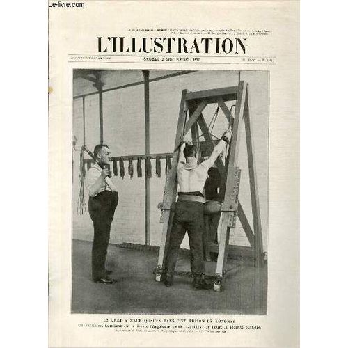 L'illustration Journal Universel N° 3523 - Gravures: Le Chat À Neuf Queues Dans Un Prison De Londres (Photo De M.Finot) - Pellés Et Mélisande À Saint-Wandrille - La Vue En Aéroplane, Hubert ...