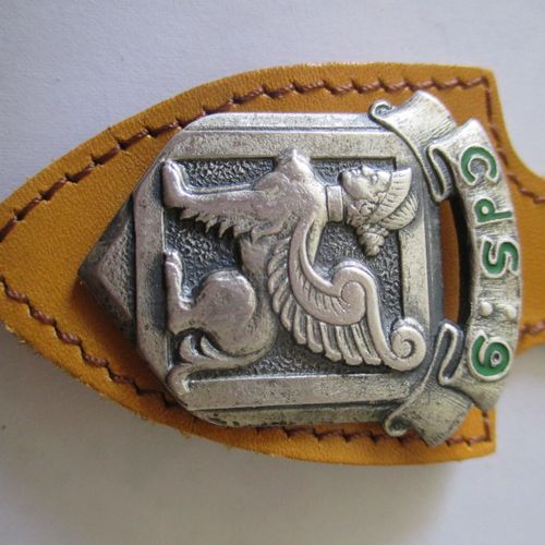Insigne Centre De Sélection N° 9,Tarascon
