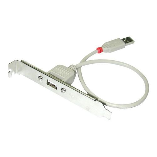 Lindy USB PC Back Plate - Adaptateur USB - USB (F) pour USB (M) - 30 cm