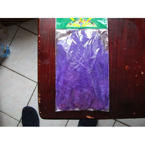 Plume Plate Violet