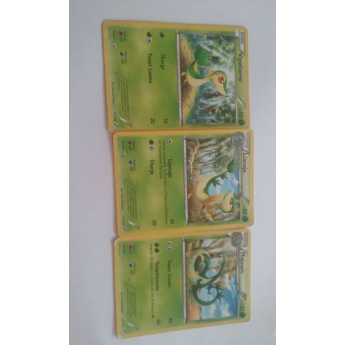 Vipélierre 1/114 Lianaja 3/144 Majaspic 5/144 