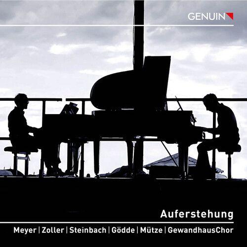 Mahler / Meyer / Zoller - Auferstehung [Compact Discs]