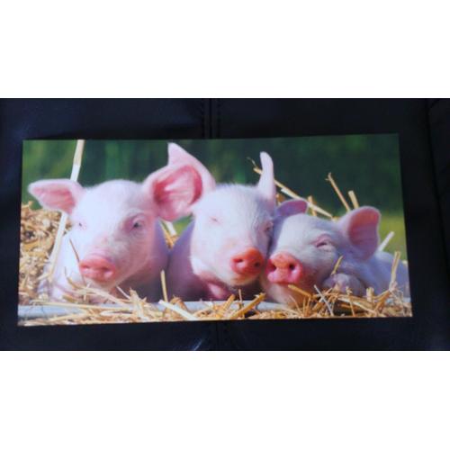 Carte Postale Aquarupella 3 Petits Cochons 11x22 Cm