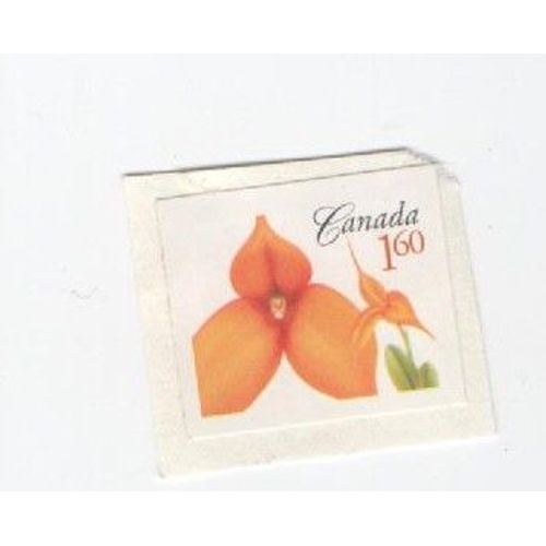 Timbre Canada Fleur Non Oblitéré Sur Morceau D'enveloppe 