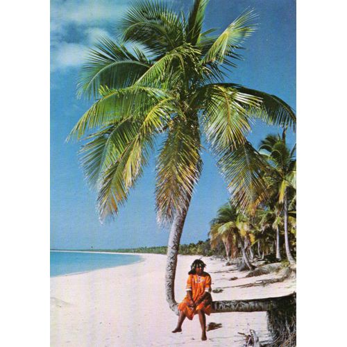 Carte Postale Couleur - Iles Loyaute - L'eblouissante Plage D'ouvea- Editions Melanesia -