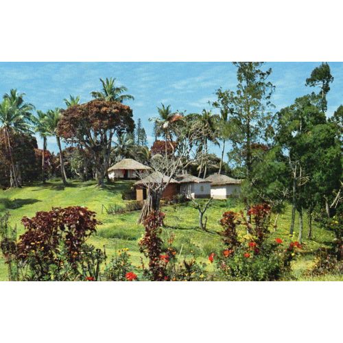 Carte Postale Ancienne -1979 - Couleur -Nouvelles Caledonies - Tribu De La Chaine Centrale - Editions Melanesia -