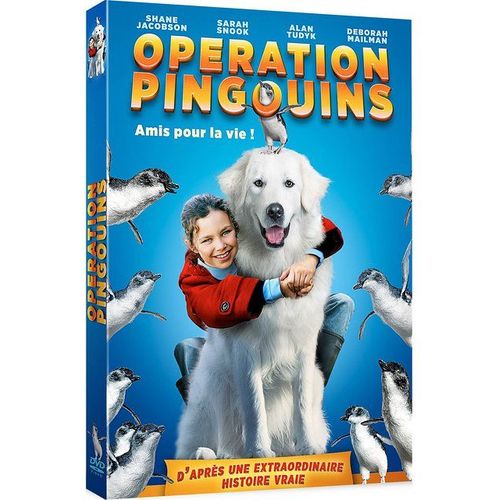 Opération Pingouins