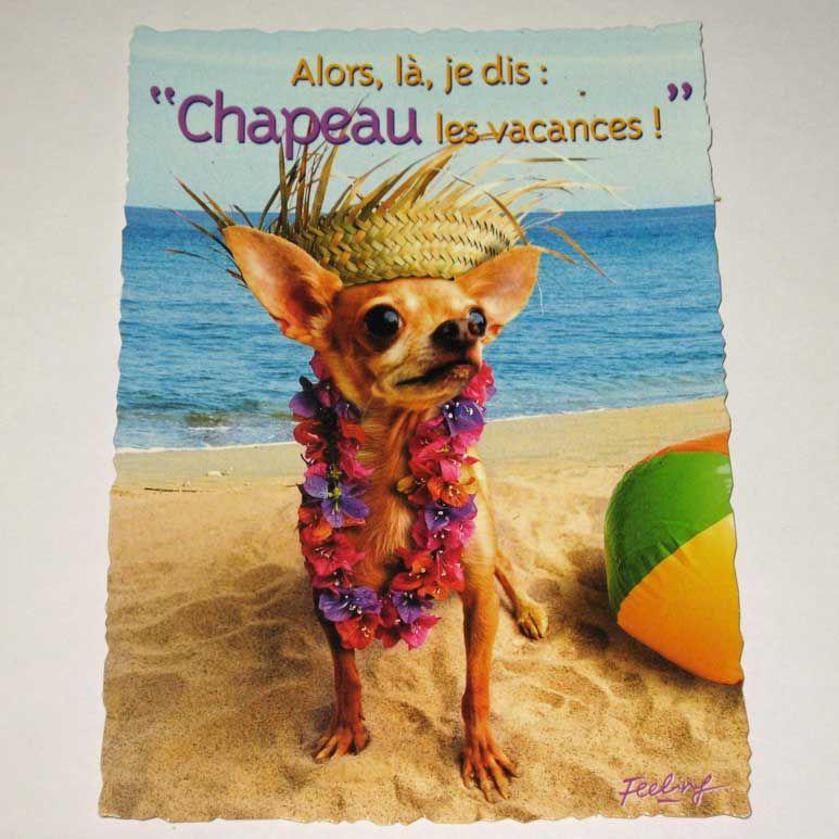 Carte Postale Humour Plage Mer Vacances Chien Rigolo Chapeau Tahiti 11x15cm Rakuten