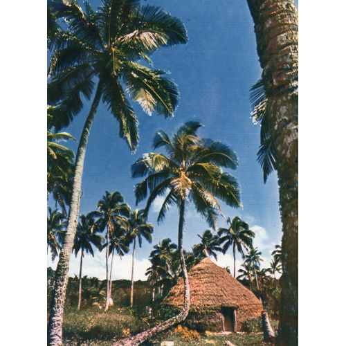 Carte Postale Ancienne - Nouvelle Caledonie - L'ile De 