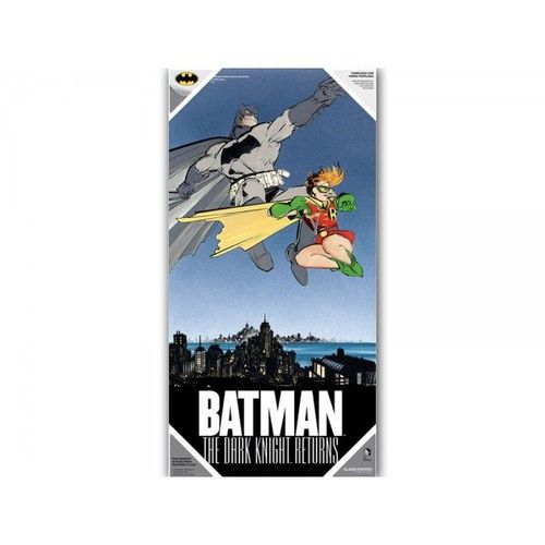 Poster Dc Comics Verre Trempé -  Dark Knight Returns Batman & Robin 30x60cm