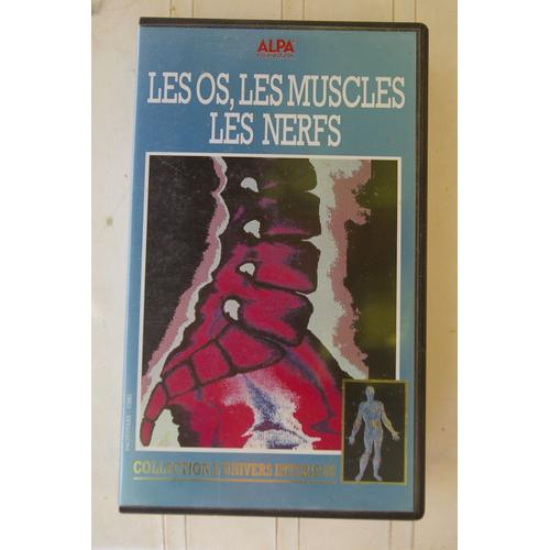 Les Os,Les Muscles,Les Nerfs,Collection L'univers Interieur