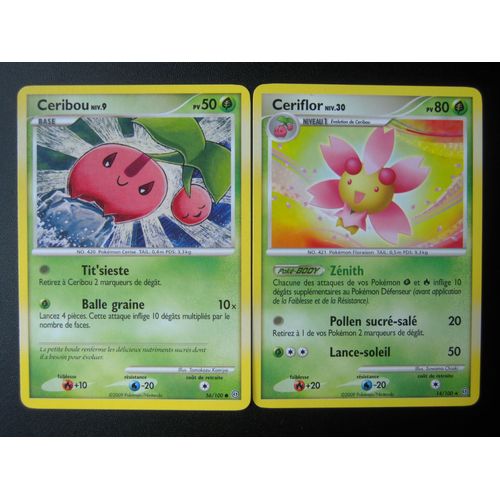 Tempête - Ceribou (56) + Ceriflor (14/100)