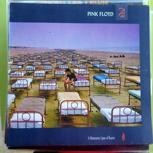 A Momentary Lapse Of Reason