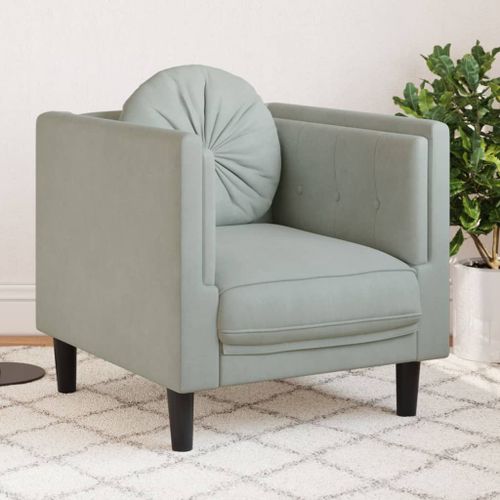 Vidaxl Fauteuil Avec Coussin Gris Clair Velours