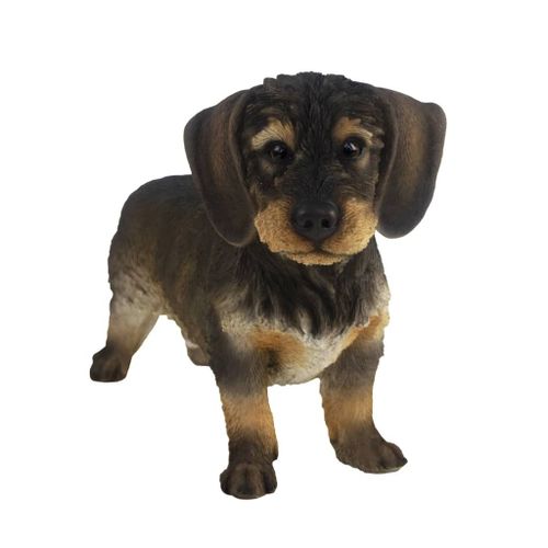 Esschert Design Statuette De Teckel 50x15x27,8 Cm