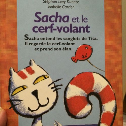 Sacha Et Le Cerf-Volant