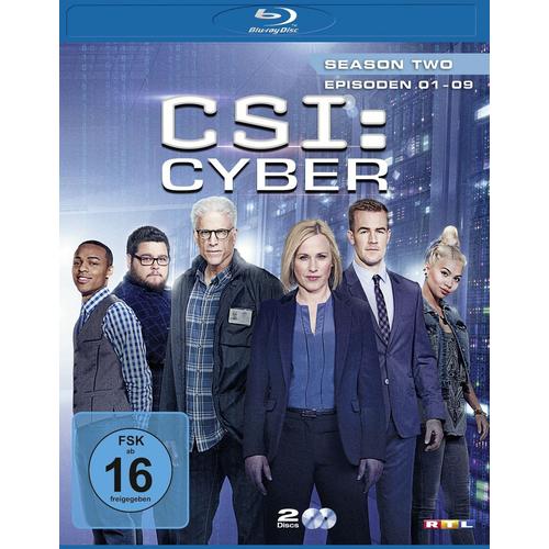 Csi: Cyber - Season 2.1 (2 Discs)