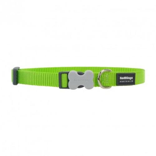 Red Dingo - Collier Pour Chien - Vert Anis - L