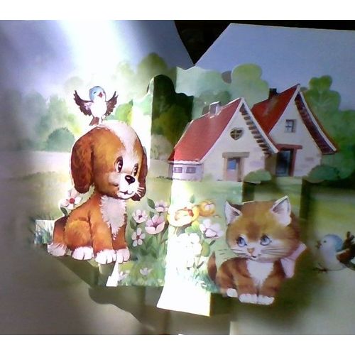 Carte Joyeux Anniversaire Enfant Carte Postale Rakuten Raincy Seine Saint Denis Retrait Sur Place