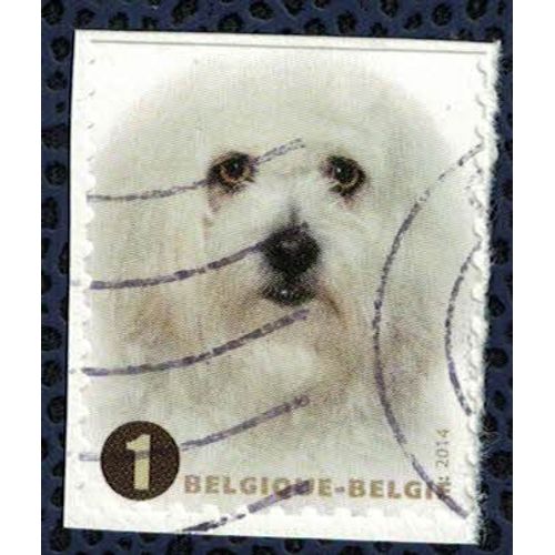 Belgique 2014 Oblitéré Used Races De Chiens Bichon Maltais