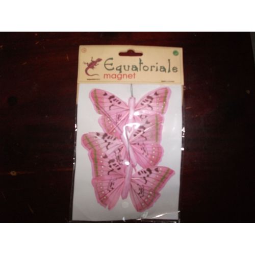 Magnet En Papillon Roses