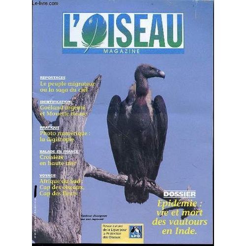 L'oiseau Magazine N°65 - Dossier : Epidémie, Vie Et Mort Des Vautours En Inde / Le Peuple Migrateur Ou La Saga Du Ciel / Goéland Argenté Et Mouette Rieuse / La Digiscopie / Afrique Du Sud : ...