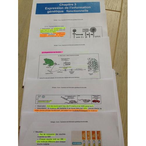 Cours De Biologie Programme Terminale S