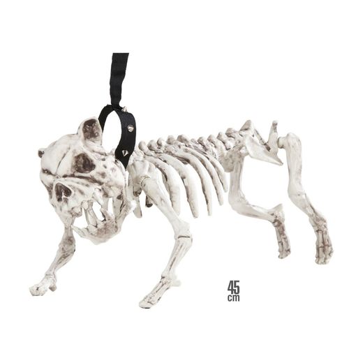 Chien Squelette En Laisse 45 Cm Halloween