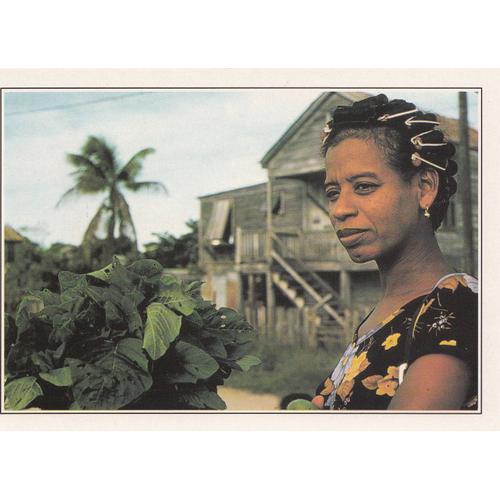 Belize, " Portait De Femme ".