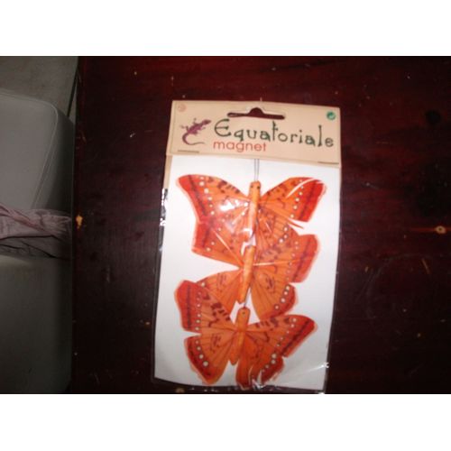 Magnet Papillon Orange