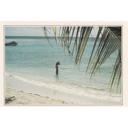 Iles Vierges, " Bain De Mer À Saint Thomas ".