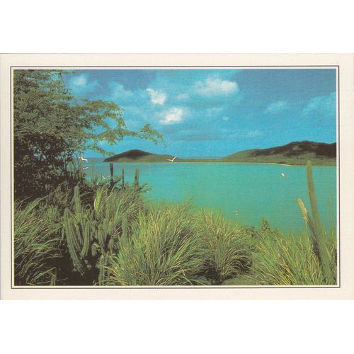 Grenadines, " Ile De Mustique ".