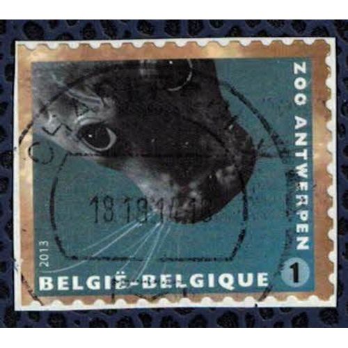 Belgique 2013 Oblitéré Used Zoo D'anvers Animaux Phoca Vitulina Phoque Commun