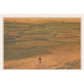 Pérou, " Paysage De L' Altiplano ".