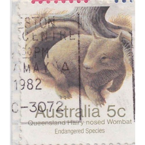 Timbre Australie : Queensland Hairy Nosed Wombat, 5c