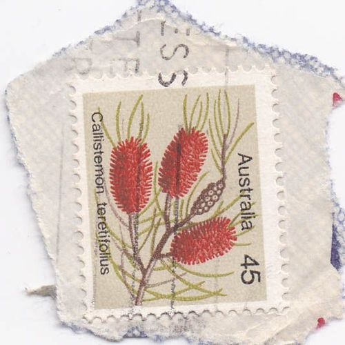 Timbre Australie : Callistemon Teretifolius, 45