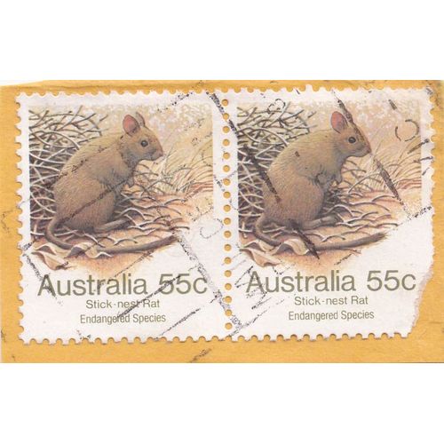 Timbre Australie : Stick Nest Rat, Endangered Species, 55c (2 Timbres )