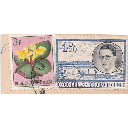 Timbre Congo Belge : 2timbres : Costus Spectabilis 3 F ; Le Roi Baudoin Et Une Perspective Sur Le Fleuve, 4,50 Fr