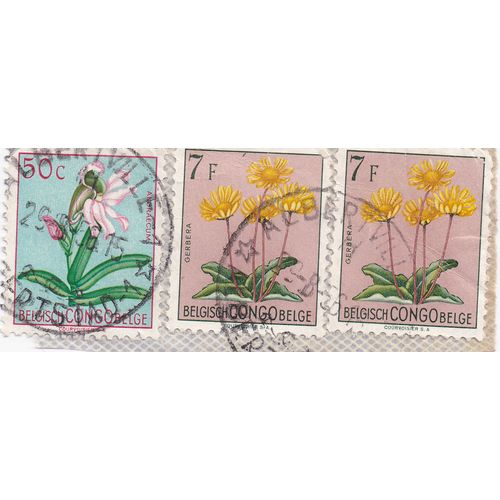 Timbre Congo Belge : 3 Timbres : Gerbera, 7 F ; Anoraecum 50 C