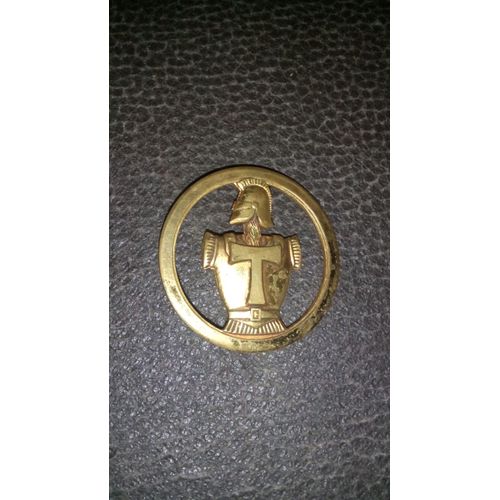 Insigne Béret Transmission 
