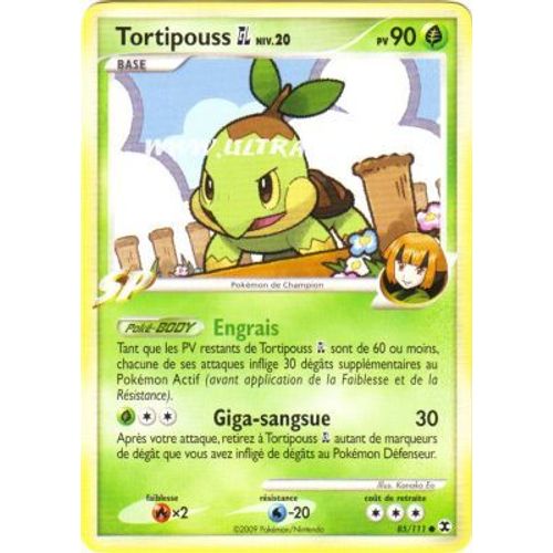 Tortipouss 85 / 111