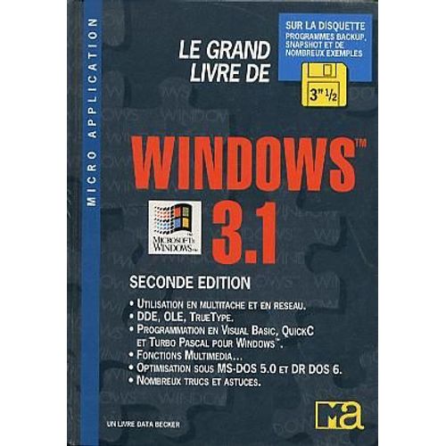 Windows 3.1
