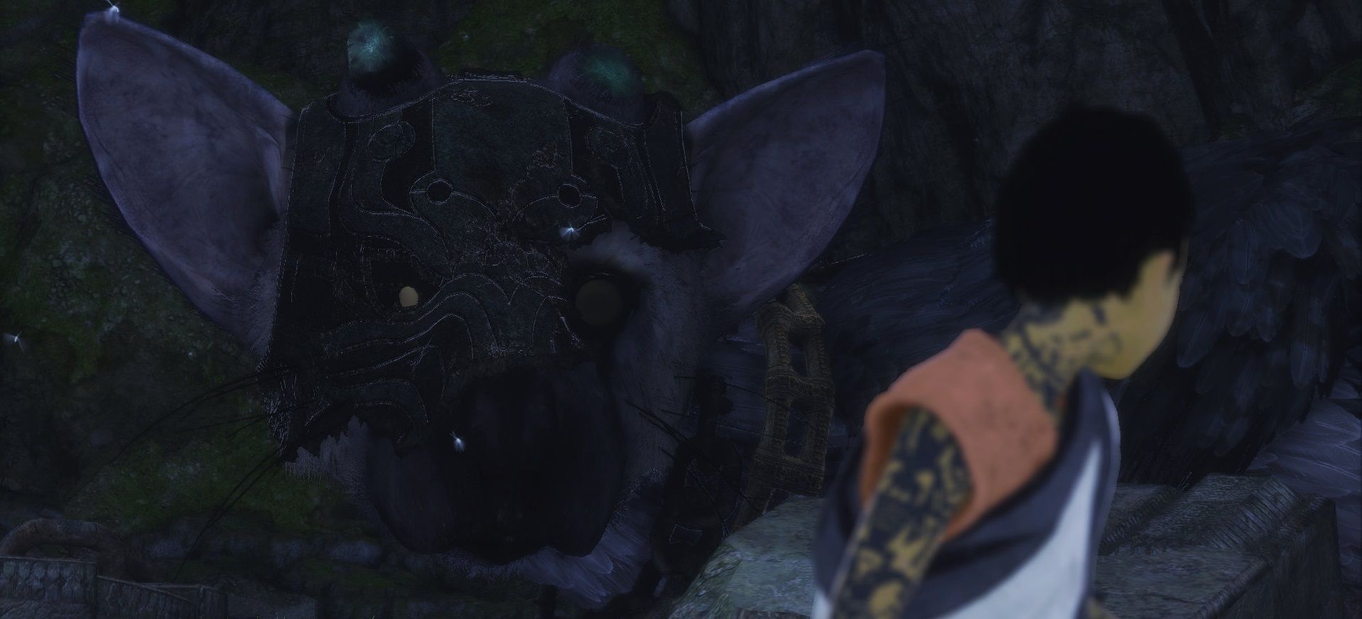 The Last Guardian_image_3|Rakuten