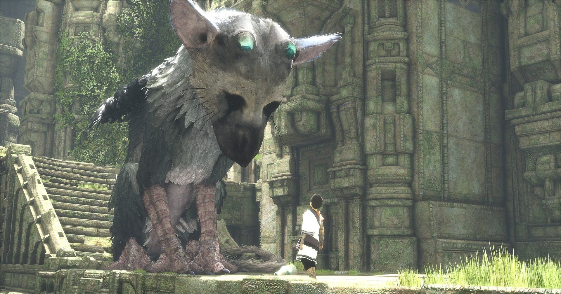 The Last Guardian_image_2|Rakuten