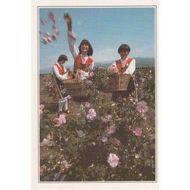 Vallée De La Tundza, " Fête Des Roses ", Bulgarie.