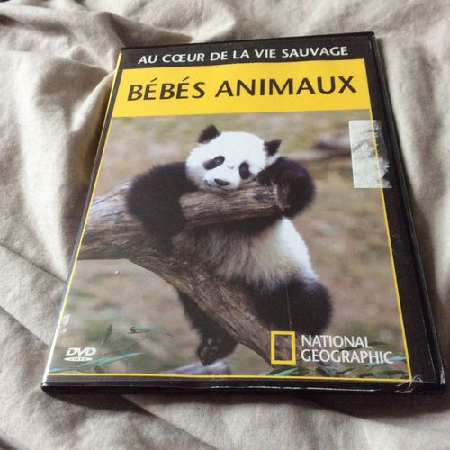 Dvd Au Coeur De La Vie Sauvage Bebes Animaux